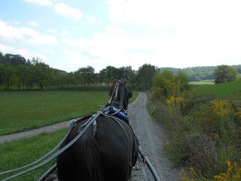 Horse cart on road amidst field against sky