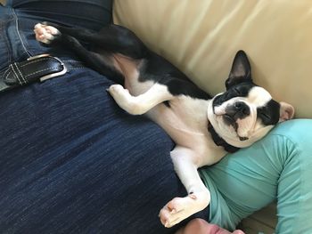 High angle view of baby lying down on sofa