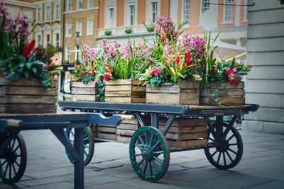 Bicycle against plants in city