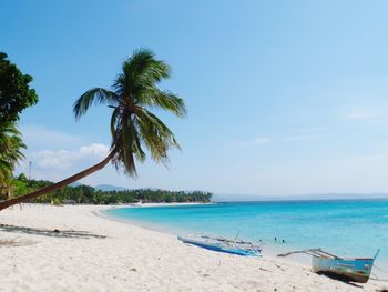 Scenic view of beach against blue sky