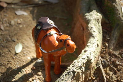 High angle view of camel sculpture by tree root