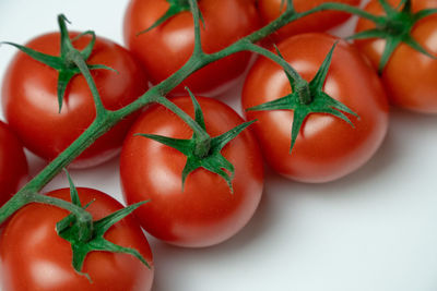 Close-up of tomatoes growing on table