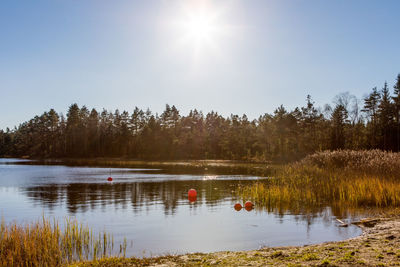 Swans swimming in lake against sky