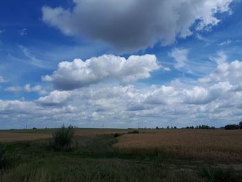 Scenic view of field against sky