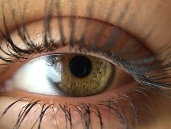 Extreme close up of human eye