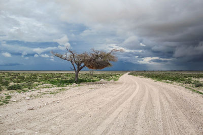 Landscape in namibia in the rainy season