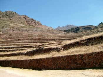 Scenic view of field against clear sky