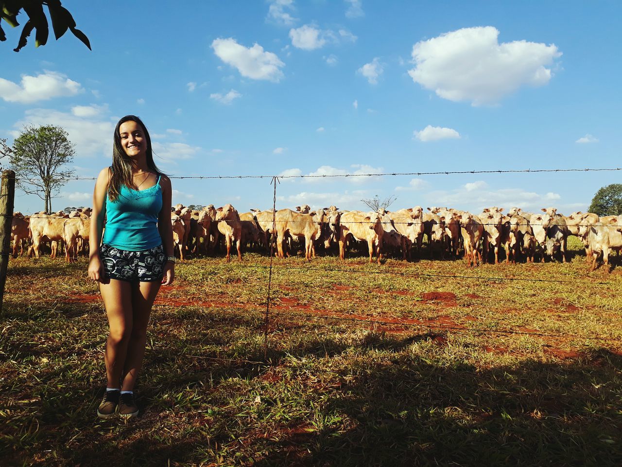 animal themes, domestic animals, sky, standing, livestock, field, outdoors, real people, mammal, day, one person, full length, young adult, large group of animals, portrait, young women, grass, nature, people