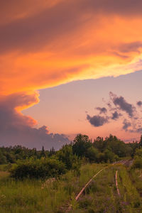 Scenic view of field against sky during sunset