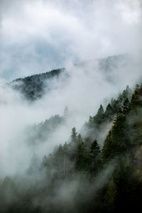 Scenic view of waterfall in forest against sky