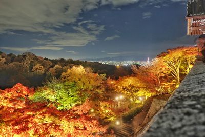 Trees in city against sky during autumn