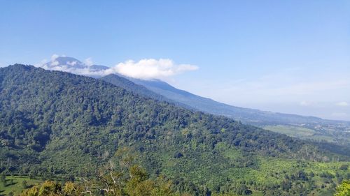 Scenic view of landscape against blue sky