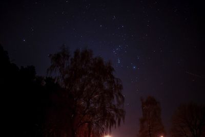 Low angle view of trees against sky at night