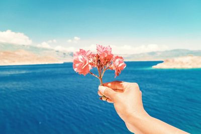 Close-up of hand holding flowering plant against sea