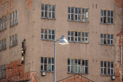 Seagull perching on a building