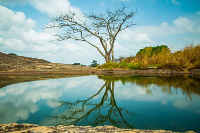 Scenic view of lake by trees against sky