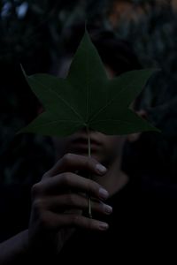 Close-up of boy holding leaf over face