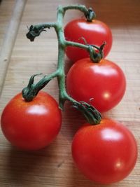 Close-up of tomatoes on table