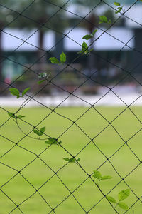 Full frame shot of chainlink fence