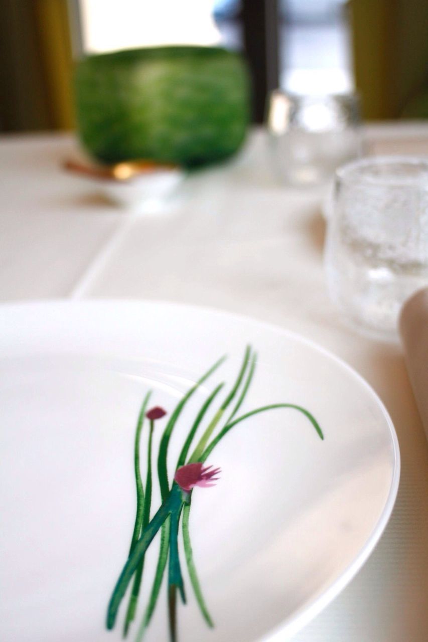 indoors, table, close-up, green color, home interior, still life, freshness, focus on foreground, leaf, potted plant, white color, selective focus, vase, no people, flower, green, plant, growth, day, white