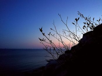 Silhouette of birds at sunset