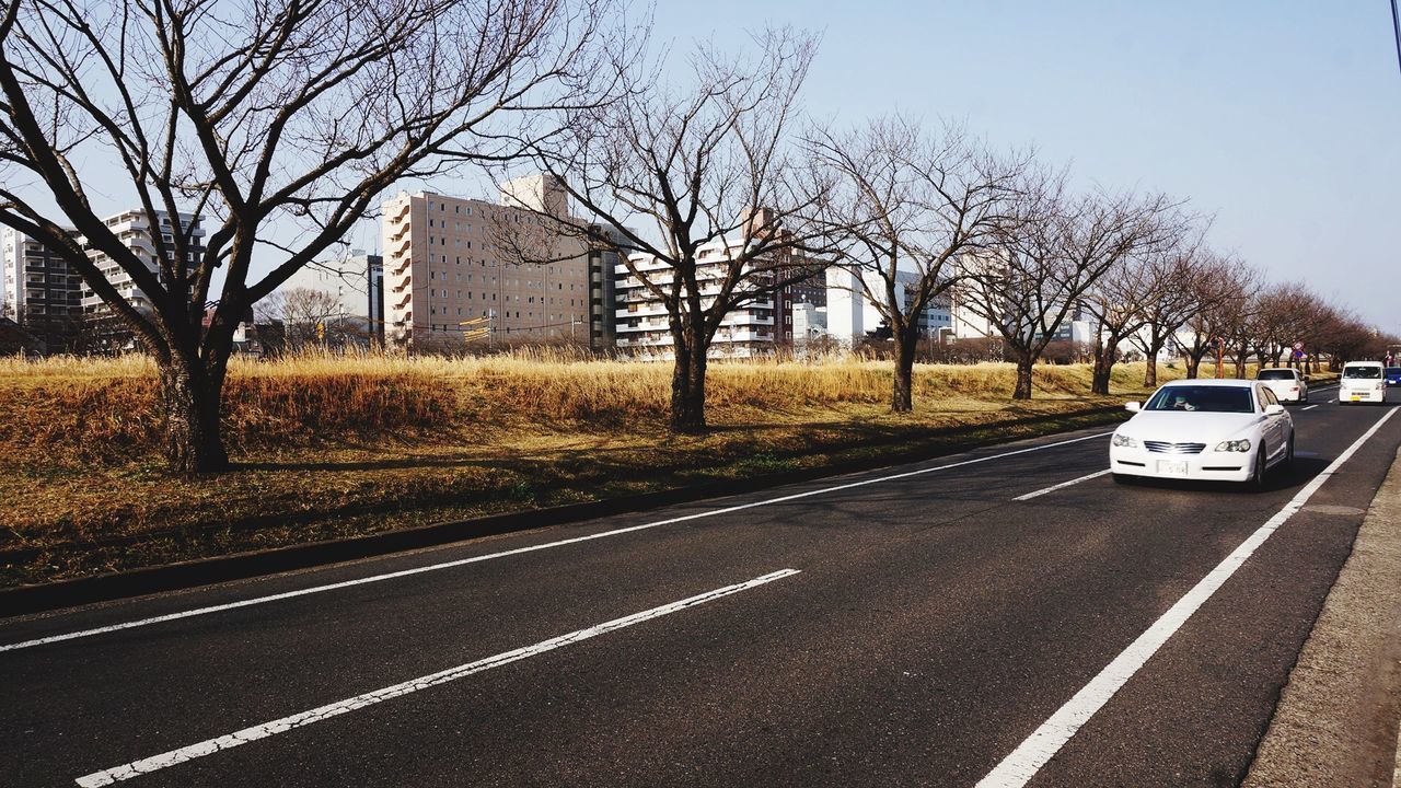 transportation, road, tree, bare tree, road marking, the way forward, car, street, clear sky, land vehicle, mode of transport, sky, building exterior, asphalt, built structure, empty, diminishing perspective, road sign, architecture, outdoors