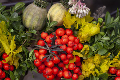 Close-up of tomatoes