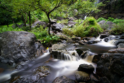 Stream flowing through rocks in forest