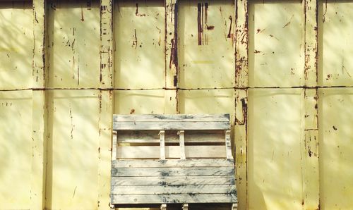 Close-up of bee on wood