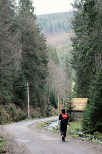 Rear view of hiker walking on road in forest