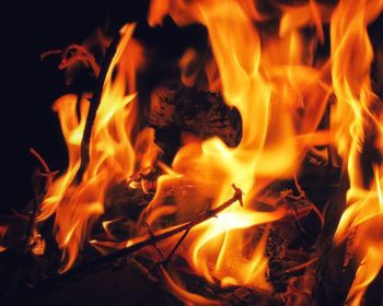 Close-up of bonfire at night