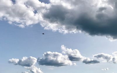 Low angle view of bird flying against sky