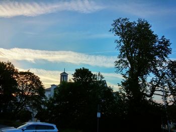 Low angle view of trees against sky