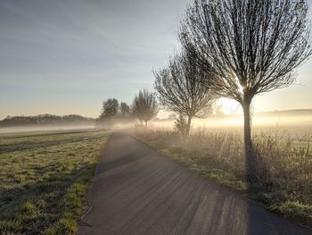 Road amidst bare trees on field against sky
