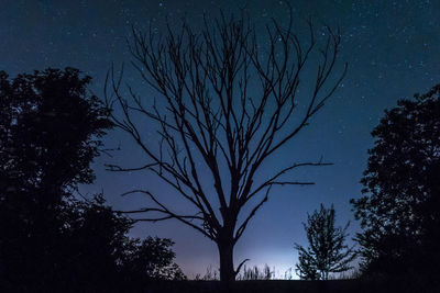 Low angle view of bare trees against clear blue sky