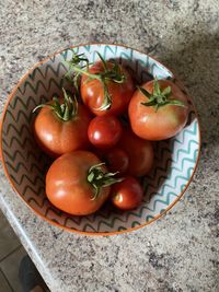 High angle view of tomatoes in container on floor