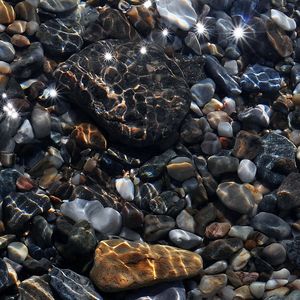 High angle view of crab on pebbles