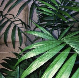 High angle view of leaves on plant against wall