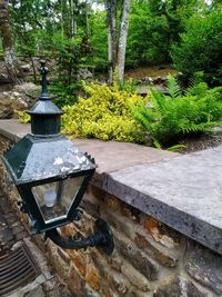 High angle view of electric lamp in park