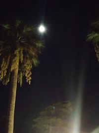 Low angle view of palm trees against sky at night