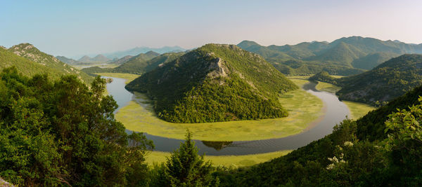 Panoramic view of trees on landscape against sky