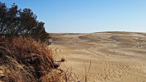 View of desert against clear blue sky