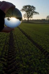 Person holding ball on field