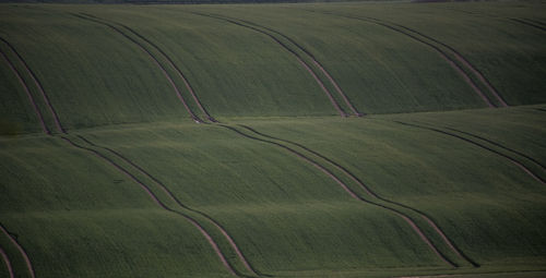 Full frame of agricultural field