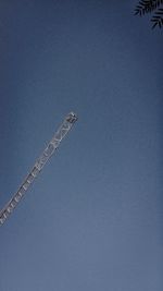 Low angle view of tree against blue sky