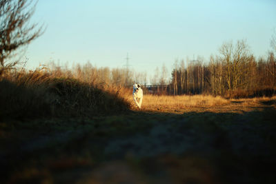 Man on field against sky