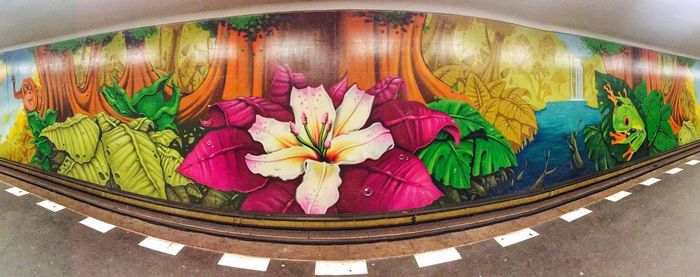 Close-up of multi colored flowers on glass wall