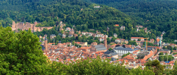 High angle view of trees and buildings in city