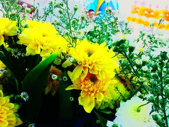 Close-up of yellow flowers blooming outdoors