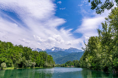 Scenic view of lake by trees against sky